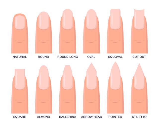 nail shape templates make it easy to achieve perfect oval, square, almond or other classic nail shapes.